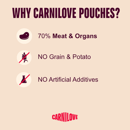 Carnilove Adult Wet Dog Food Pouches - Turkey & Quail with Yellow Carrot - 12x300g