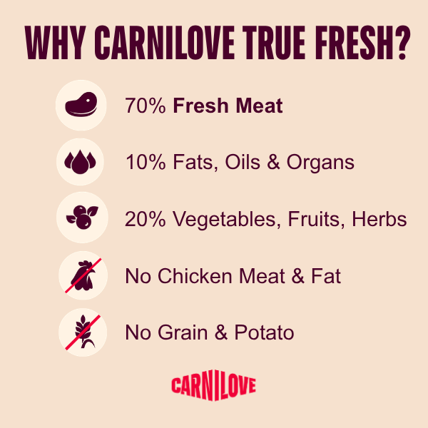 Carnilove True Fresh Large Breed Adult Dry Cat Food - Beef