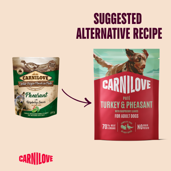 Carnilove Adult Wet Dog Food Pouches - Turkey & Pheasant with Raspberry Leaves - 12x300g Pouches