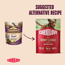 Carnilove Adult Wet Dog Food Pouches - Turkey & Quail with Yellow Carrot - 12x300g