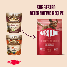Carnilove Adult Wet Dog Food Pouches - Turkey & Venison with Strawberry Leaves - 12x300g Pouches