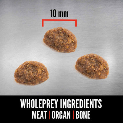 Orijen Kitten Grain Free Dry Cat Food