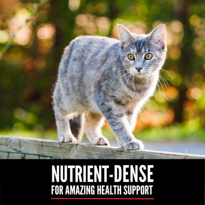 Orijen Tundra Dry Cat Food