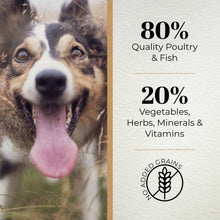 Ferguson Original 80/20 Grain Free Dry Dog Food