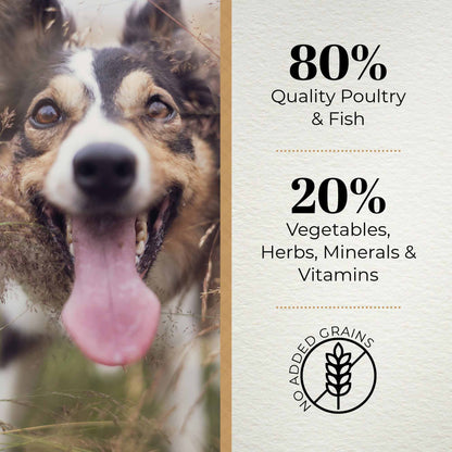 Ferguson Original 80/20 Grain Free Dry Dog Food