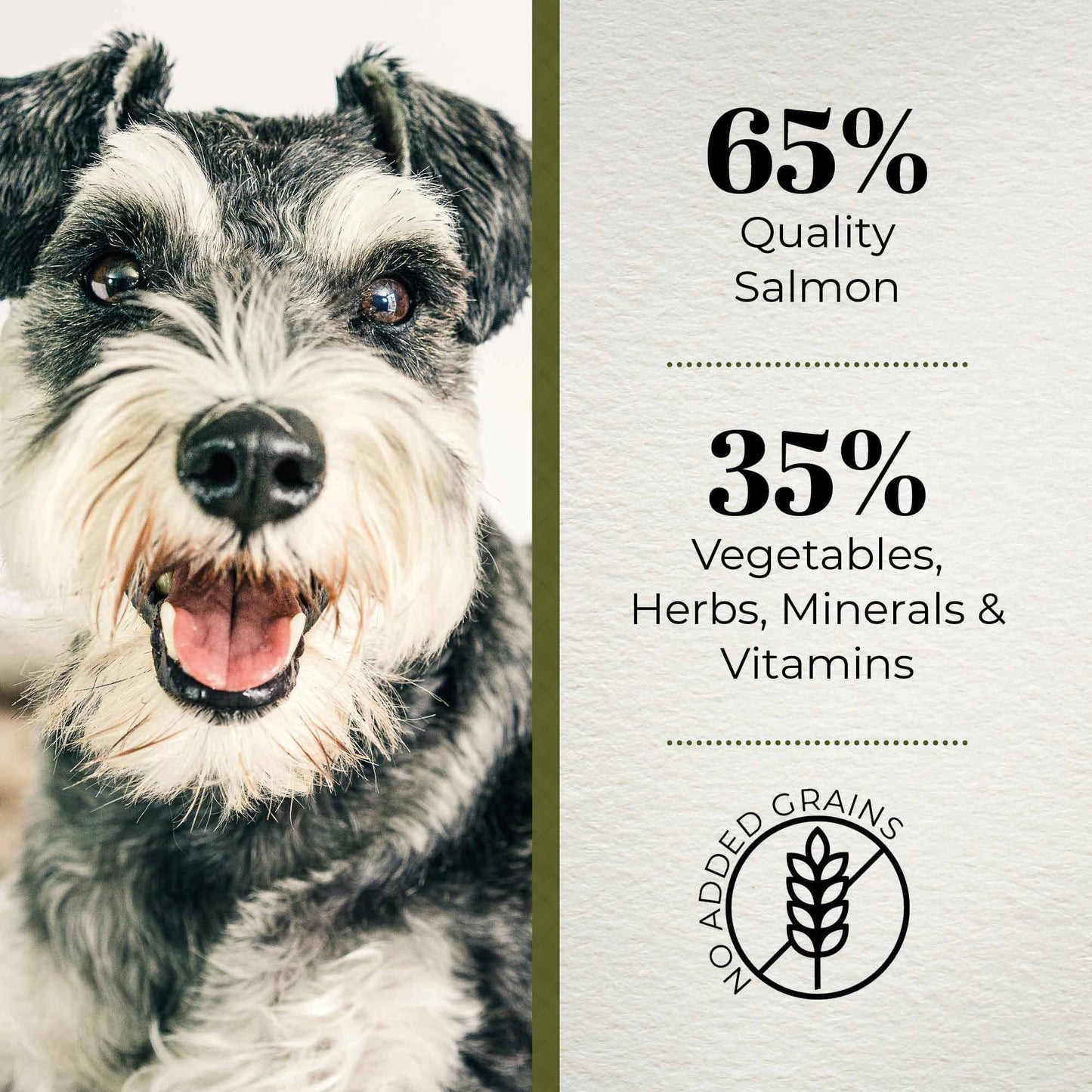 Ferguson Scottish Salmon Senior Dry Dog Food