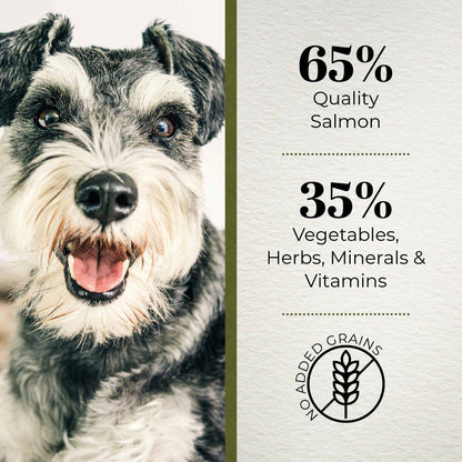 Ferguson Scottish Salmon Senior Dry Dog Food
