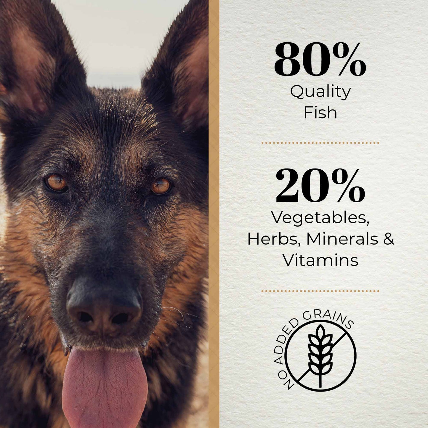 Ferguson Fine Fish 80/20 Grain Free Dry Dog Food