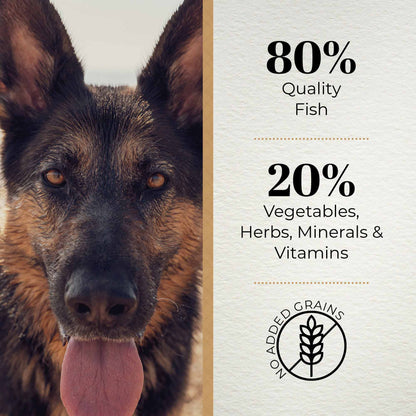 Ferguson Fine Fish 80/20 Grain Free Dry Dog Food