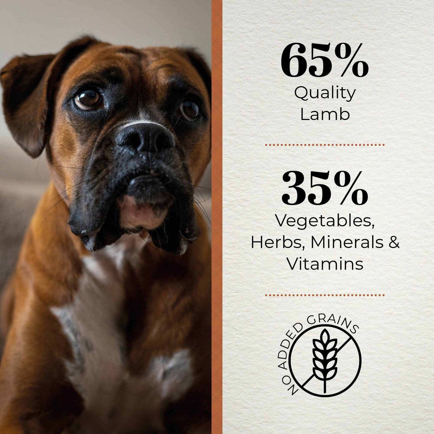 Ferguson Grass Fed Lamb Adult Dry Dog Food