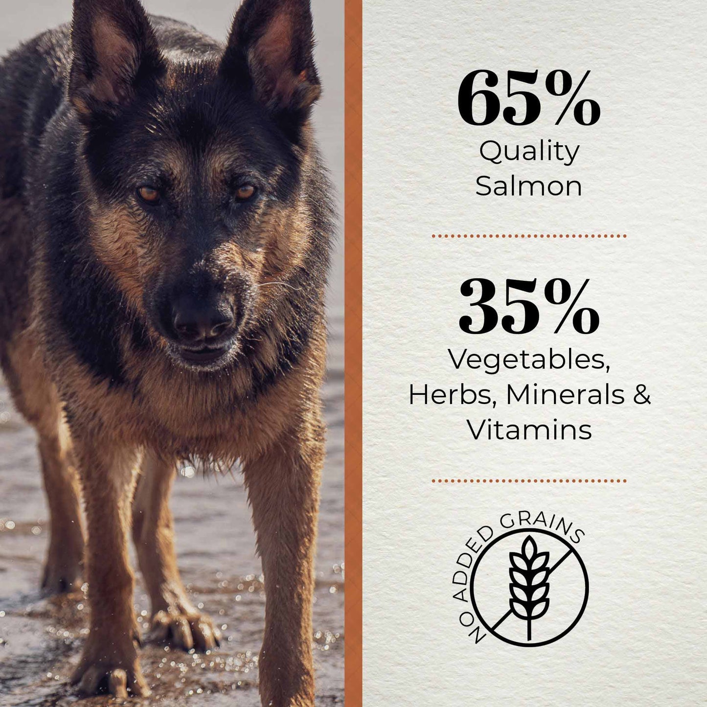 Ferguson Scottish Salmon Adult Light Dry Dog Food