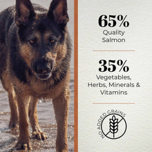 Ferguson Scottish Salmon Adult Light Dry Dog Food