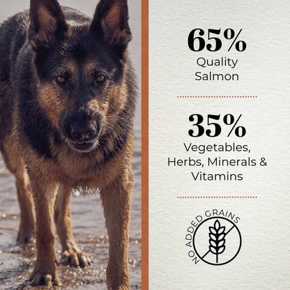 Ferguson Scottish Salmon Adult Light Dry Dog Food