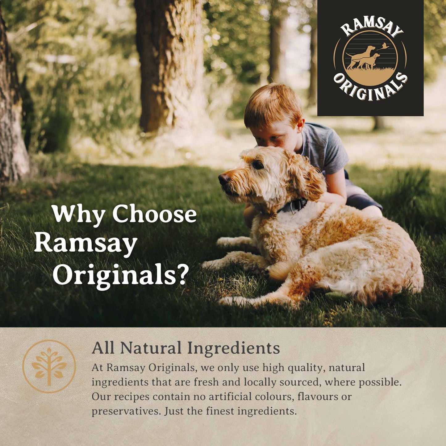 Ramsay Originals Adult Dry Dog Food - Chicken & Rice