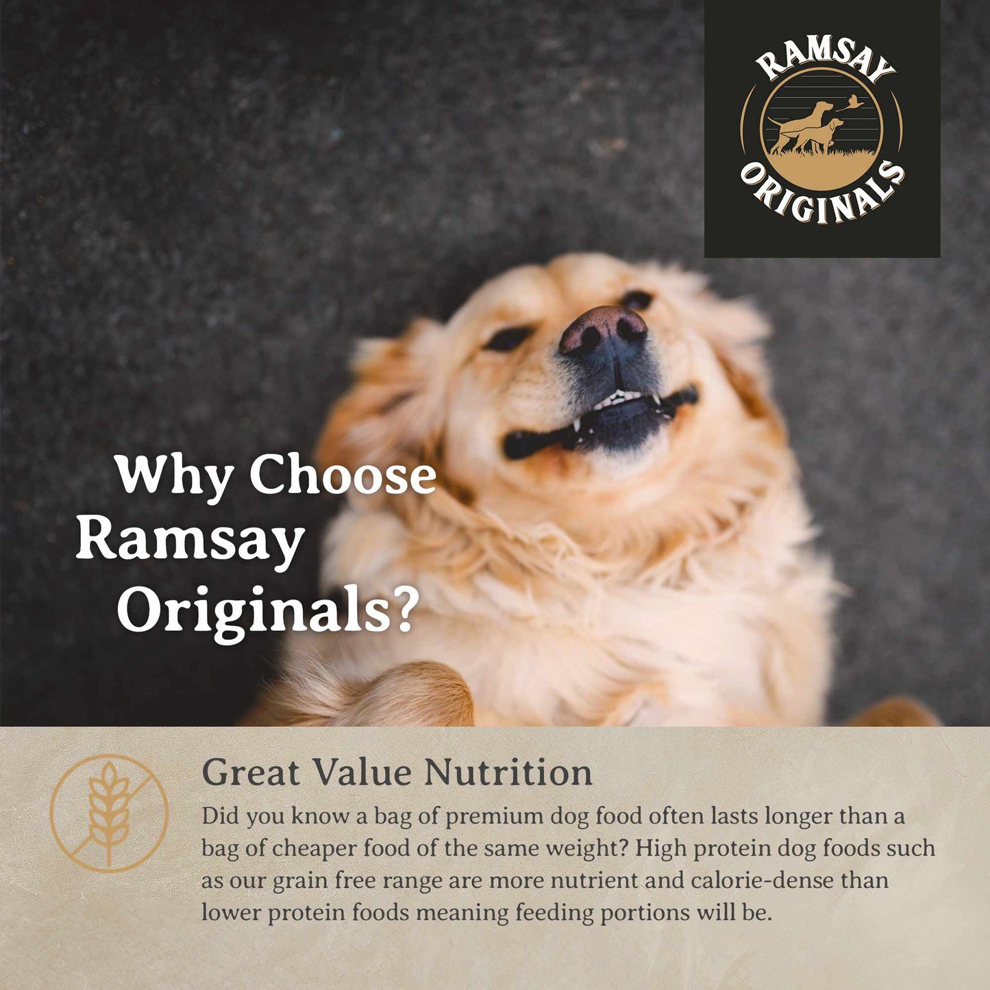 Ramsay Originals Grain Free Adult Large Breed Dry Dog Food - Chicken & Potato