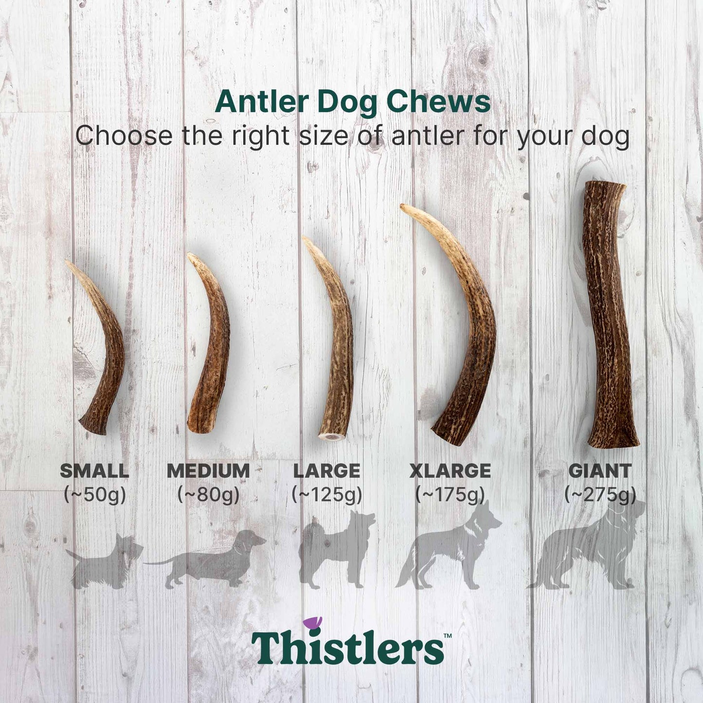 Thistlers Antler Dog Chew - Extra Large