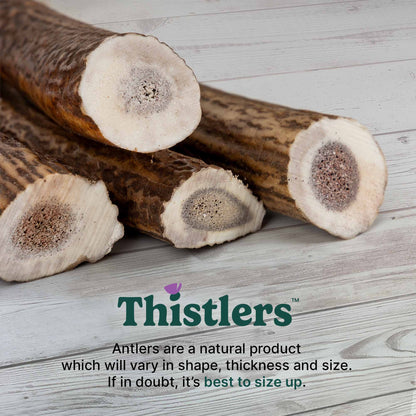 Thistlers Antler Dog Chew - Medium