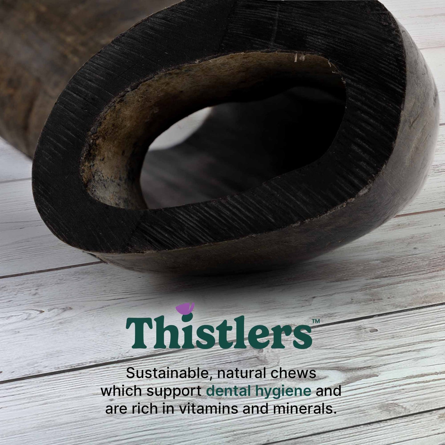 Thistlers Buffalo Horn Dog Chew - Large