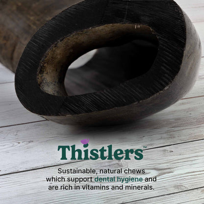 Thistlers Buffalo Horn Dog Chew - Large