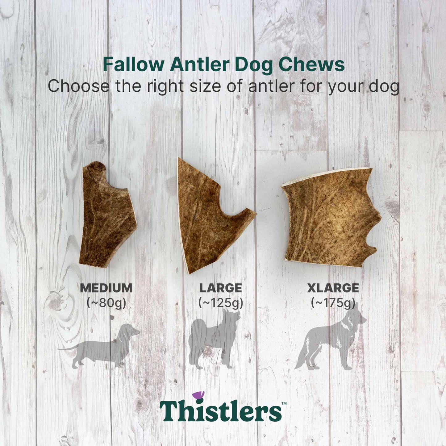 Thistlers Fallow Antler Dog Chew - Large