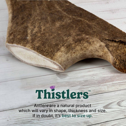 Thistlers Fallow Antler Dog Chew - Large
