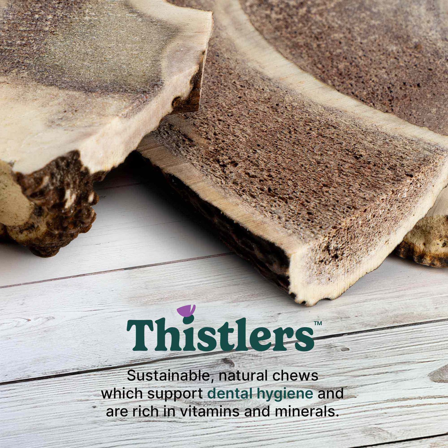 Thistlers Split Antler Dog Chew - Large