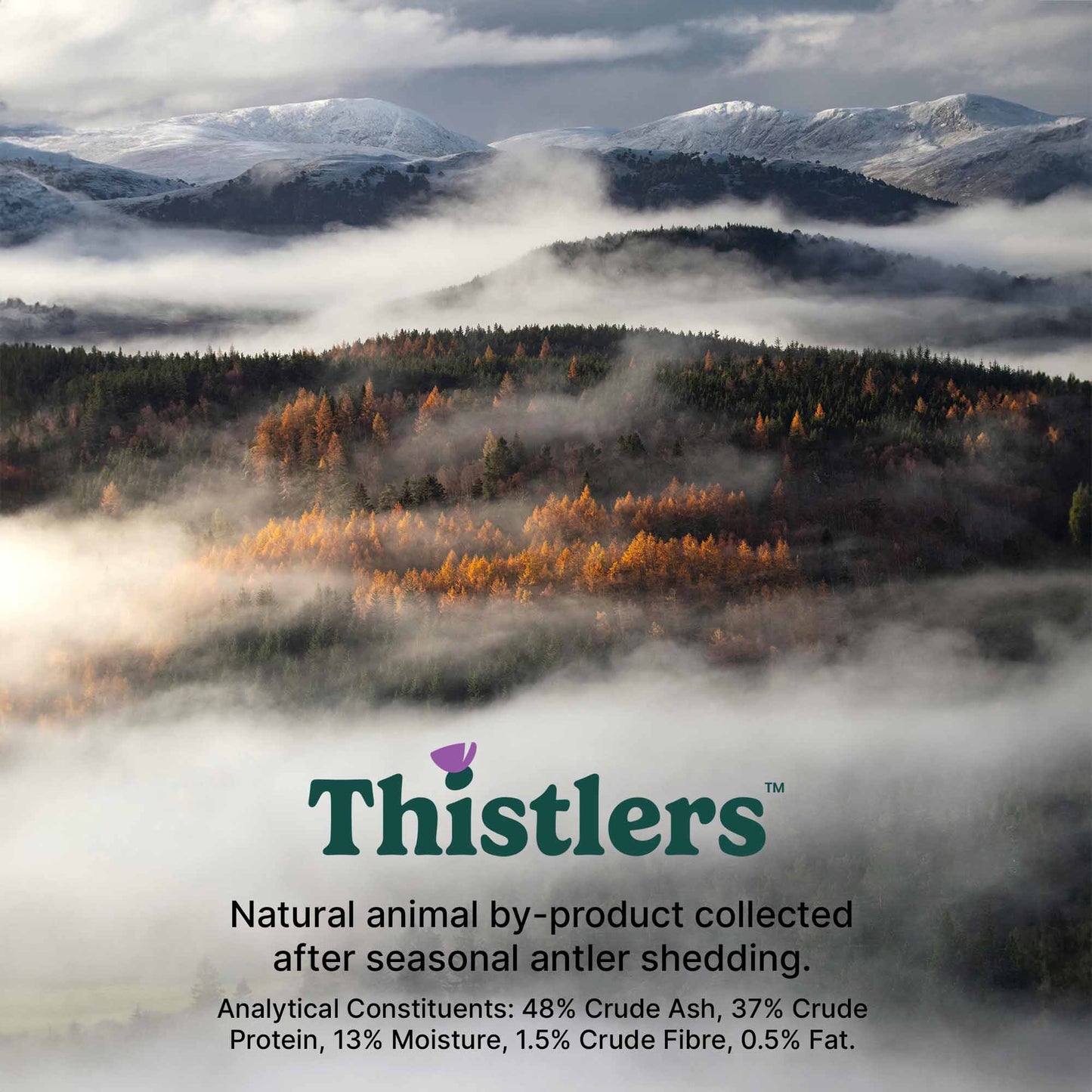 Thistlers Split Antler Dog Chew - Medium