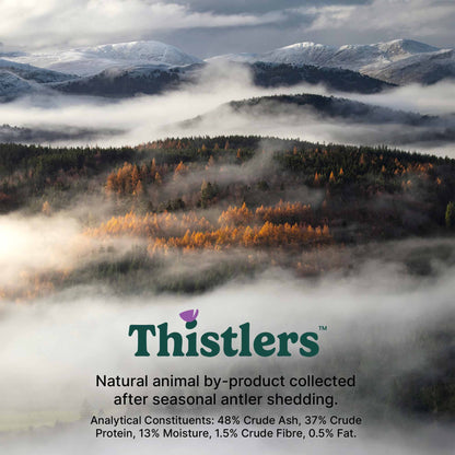 Thistlers Split Antler Dog Chew - Medium