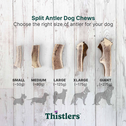 Thistlers Split Antler Dog Chew - Giant