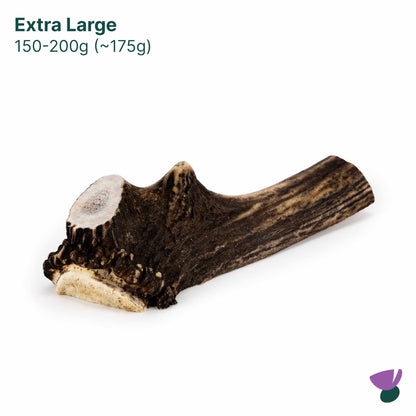 Thistlers Split Antler Dog Chew - Extra Large